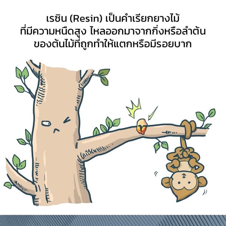 เรซิน จากยางไม้สู่พลาสติกรีไซเคิล