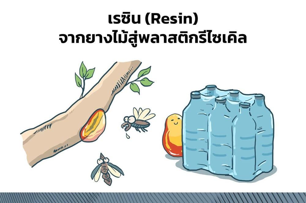 เรซิน จากยางไม้สู่พลาสติกรีไซเคิล